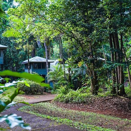 Ferntree Rainforest Lodge Cape Tribulation Exteriér fotografie