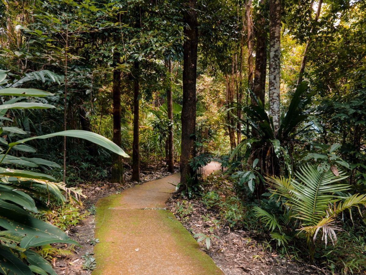 Ferntree Rainforest Lodge Cape Tribulation Exteriér fotografie