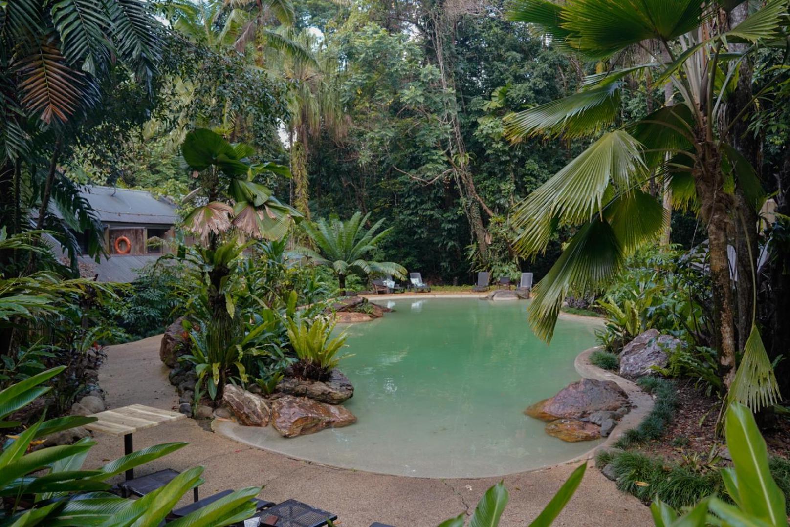 Ferntree Rainforest Lodge Cape Tribulation Exteriér fotografie