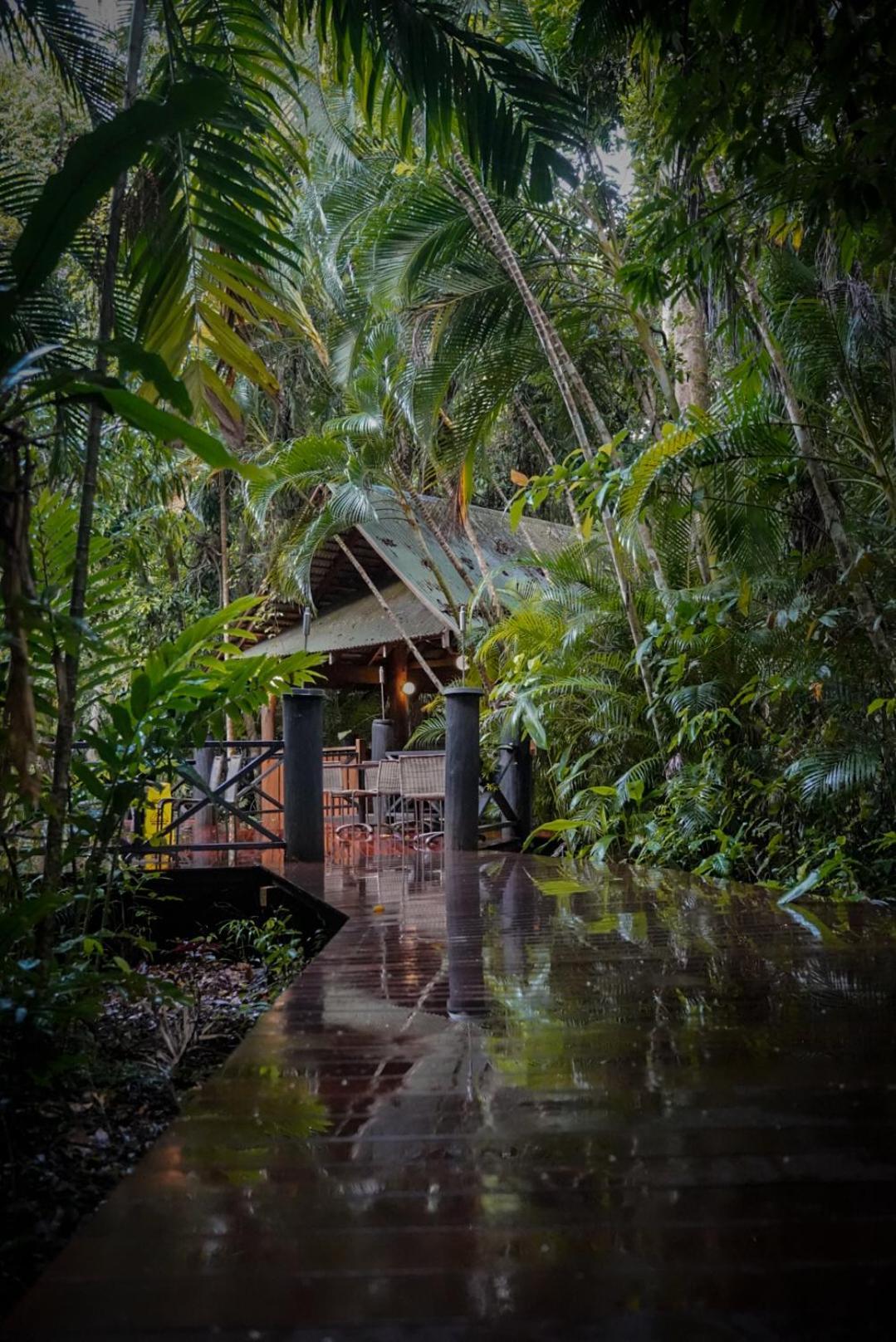 Ferntree Rainforest Lodge Cape Tribulation Exteriér fotografie