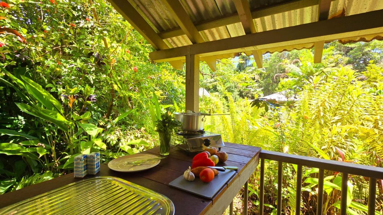 Ferntree Rainforest Lodge Cape Tribulation Exteriér fotografie
