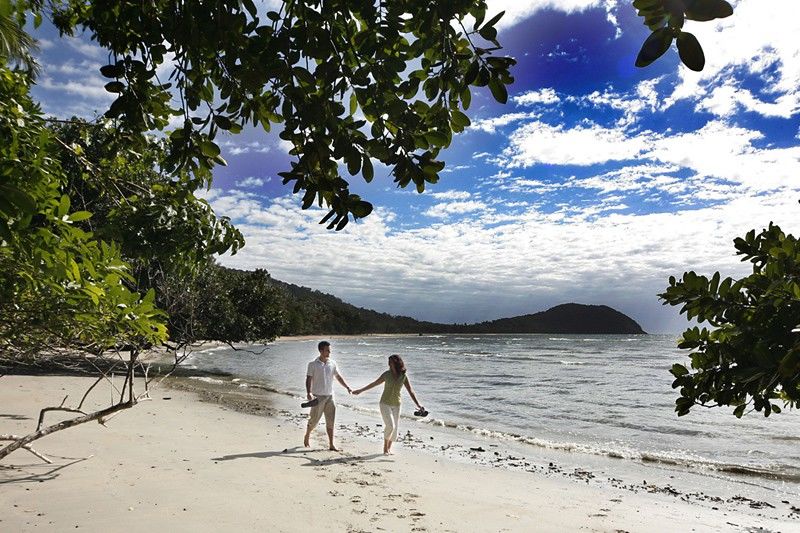 Ferntree Rainforest Lodge Cape Tribulation Exteriér fotografie