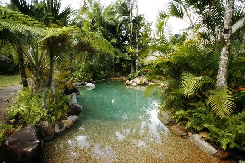 Ferntree Rainforest Lodge Cape Tribulation Zařízení fotografie