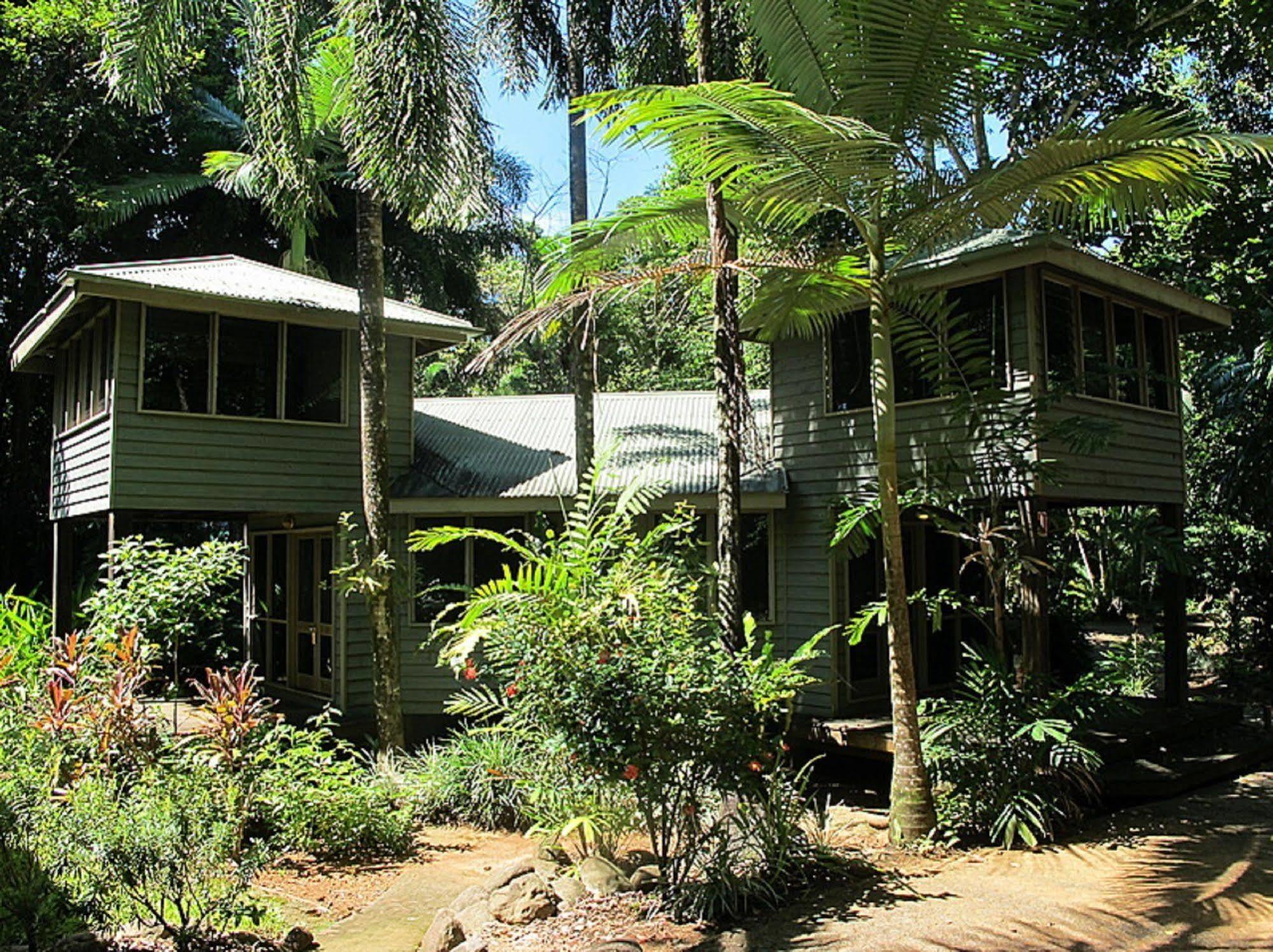 Ferntree Rainforest Lodge Cape Tribulation Exteriér fotografie