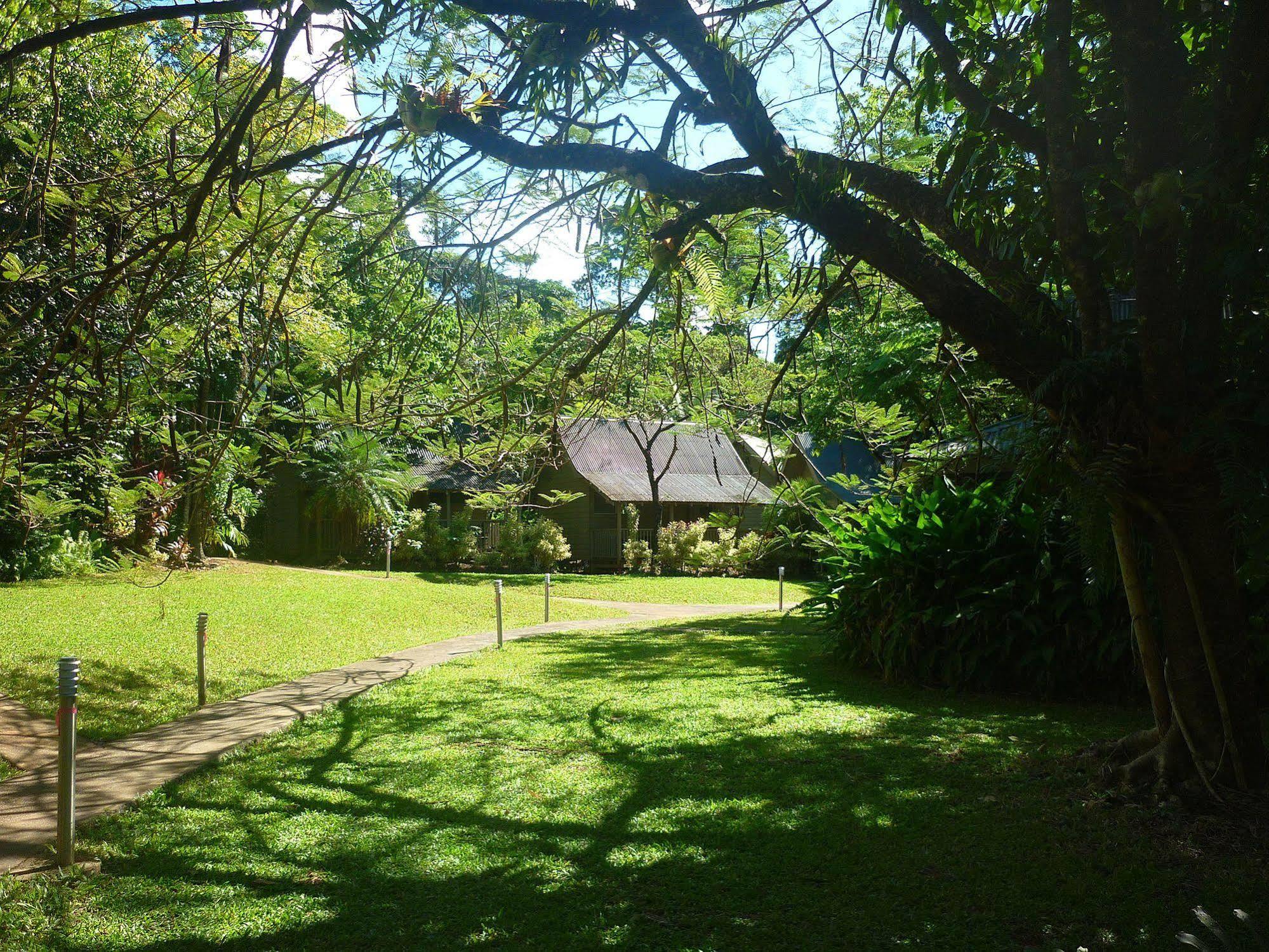 Ferntree Rainforest Lodge Cape Tribulation Exteriér fotografie