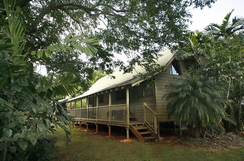 Ferntree Rainforest Lodge Cape Tribulation Exteriér fotografie