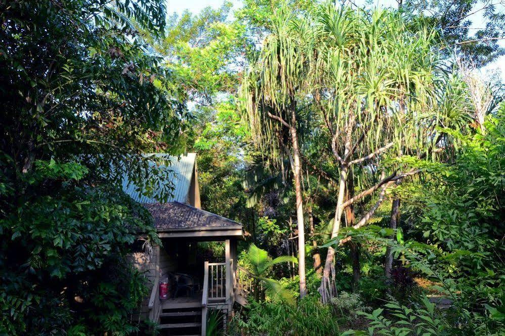 Ferntree Rainforest Lodge Cape Tribulation Exteriér fotografie
