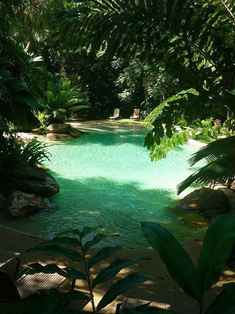 Ferntree Rainforest Lodge Cape Tribulation Exteriér fotografie